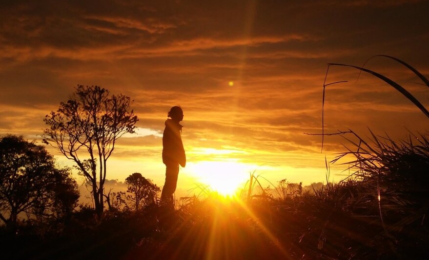 appreciating outdoors